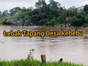PETI Semakin Marak di DAS Kab. Melawi, Kepolisian Wajib Lakukan Penegakan Hukum